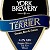 York - Yorkshire Terrier